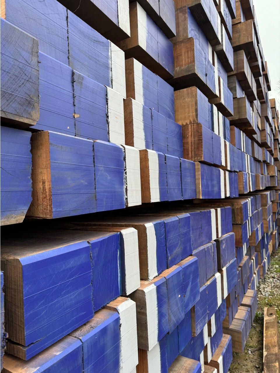 Ekki timber coated in blue and white
